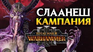 Слаанеш Total War Warhammer 3 - кампания Н'Кари на русском