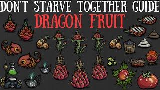 Don't Starve Together Guide: Dragon Fruit - Giant Crops, Farming & More