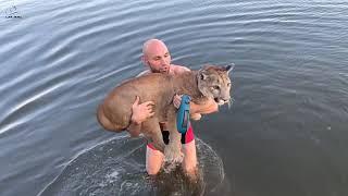 Let's go swimming! Puma Messi on the river