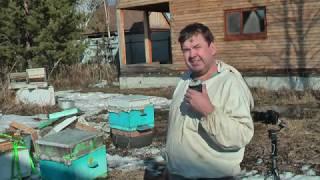 После зимы. Пасека Сергея Буторина. Выпуск 4