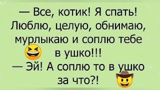 Топ анекдотов для любителей упасть со стула