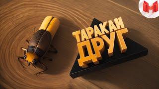 [Игродно] Друг таракан