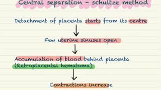 BAMS SIMPLE NOTES || THIRD STAGE OF LABOUR SIMPLE NOTES || BAMS/MBBS/BHMS OBS-GYNEC SIMPLE NOTES ||