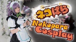 Озорные киски - Nekopara Cosplay VLOG.