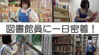 【GO!GO!!としょかん!!!④】はたらく図書館員