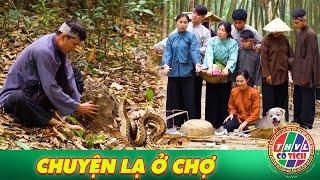 CỔ TÍCH MỚI 2024 | CHUYỆN LẠ Ở CHỢ | SỰ TÍCH VIỆT NAM HAY MỚI NHẤT 2024 | CỔ TÍCH VIỆT NAM 2024 THVL