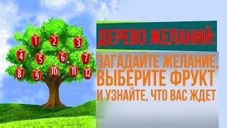 ВЫБЕРИ ФРУКТ НА ДЕРЕВЕ И УЗНАЙ, ЧТО ЖДЕТ ТЕБЯ В БУДУЩЕМ