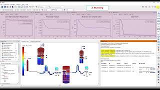 3. RHYS-ASYST Simulation Process