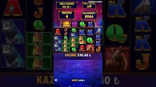 Son Spinde Neler Yaptığına İnanamayacaksınız - Buffalo King - #casino #slot #short  #shorts