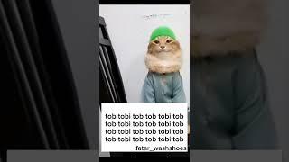 Tob Tobi tob tob#fypシ゚#memes#ranked #funny#cat#reels#fyp#foryou#reel#shortsfeed#short#shorts#fy