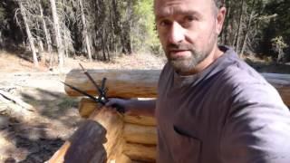 Off Grid Log Cabin Build - Scribe Fit Part 1