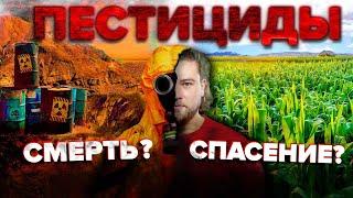 Вся правда о пестицидах. Стоит ли нам их использовать? | Сортировочная