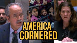 Brave act by Pakistan; calls US veto blocking food for Gaza children ‘moral stain’|Janta Ka Reporter