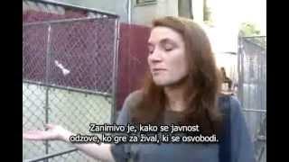 Maxinin pobeg v svobodo