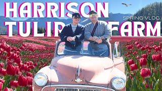 Episode 21 | Harrison Tulip Festival 2025 in British Columbia 