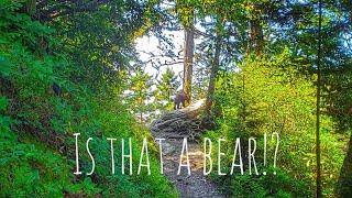Alum Cave Trail to Mt LeConte - Great Smoky Mountains National Park