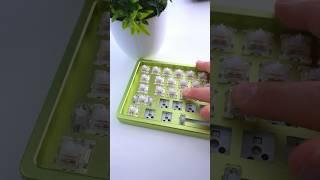 Building a Drop Alt Custom Keyboard Part One ⌨️