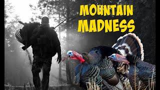 Hard Gobbling Mountain Birds | Merriam Turkey Hunts | Spring Thunder