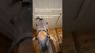 Super Smart Horse