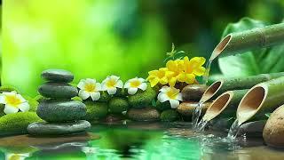 Spa Music, Relaxing music - 12 ชั่วโมง เพลงสปา - ฟังนวด, พักผ่อน, เสียงธรรมชาติ, ให้ความสุข -