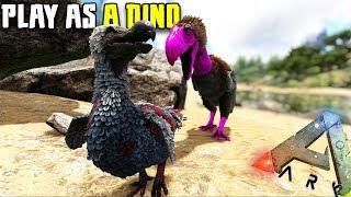 THE TERROR BIRD STRUGGLE | PLAY AS A DINO | ARK SURVIVAL EVOLVED