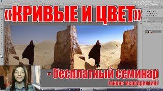 Кривые и цвет - бесплатный семинар - анонс - Стив Ласмин