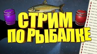 Стрим рр3.99 что небудь половим!!))