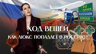 ЛЮКС БЕЗ ГРАНИЦ: кто и как ввозит товары роскоши в Россию?