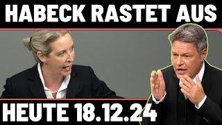 HABECK RASTET AUS FRAU WEIDEL ZERLEGT SEINE ARGUMENTE!