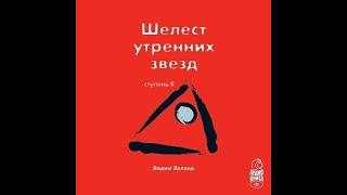 Вадим Зеланд | Трансерфинг реальности 2 ступень | Шелест утренних звезд