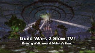 GW2 Slow TV - Walk through Divinty's Reach