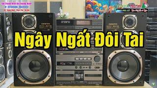 Quá Chuẩn Với Những Bản Nhạc Test Loa Bass Cực Hay - Nhạc Nhẹ Ngọt Ngào Say Đắm Quốn Hút Người Nghe