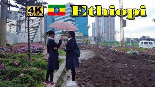 ድጋሚ በፍጥነት እየለማ ያለው የጥቁር አንበሳ መንገድ| Addis Ababa Walking Tour  [4K] Tourist attractiveness