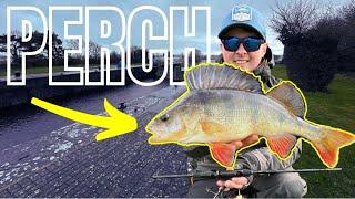 This is a Killer Method For Big River Perch! Best Bait Ever?!