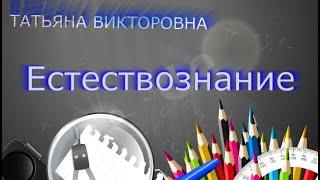 Естествознание, 4 класс,  Малые космические тела