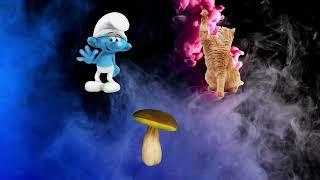 Smurf-cat Shailushay but it's Skibidi Dub   #cat#smurfcat#smurf#skibidi#funny#blue#bluecat#cute