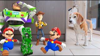 Animations in REAL LIFE vs Funny Dogs  | Minecraft - Mario and More!