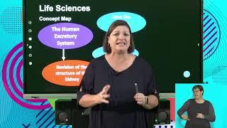 Life Sciences Gr11 The Excretory System in Humans - The Nephron