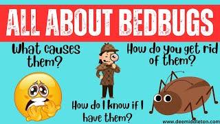 Bedbugs: What Causes them and How do you get rid of them?