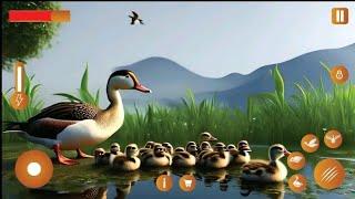 Wild Duck Family Simulator game#viralvideo #animals #tarnding #foryou#android #games