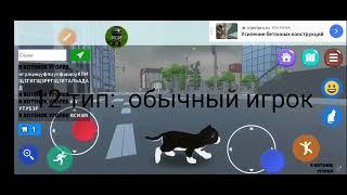 ТИПЫ ИГРОКОВ В КОШКА СИМУЛЯТОР ОНЛАЙН (1 часть)