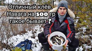 FISHING IN USA. RUSSIAN