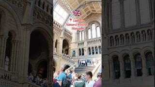  Natural History Museum, United Kingdom   #shorts #londonlife #londonmuseum #travelleravocado