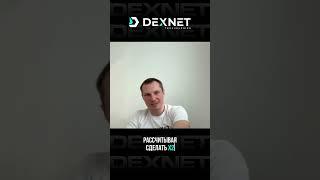 Сколько будет стоить DexNode? Как может меняться цена?#itтехнологии #dexnet #нода