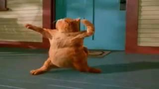 Garfield Happy Birthday Dance