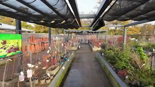 A look inside RHS Wisley Garden Centre | The RHS