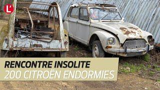 Des centaines de CITROEN abandonnées, ce sont les vieilles foréziennes ! (Urbex)