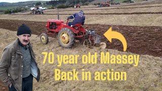 You won't believe the Massey is back #ploughing #farm #farming #cows #sheep #irish #ireland #tractor