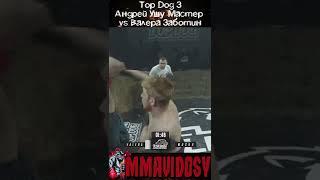 Top Dog 3 - Андрей Ушу Мастер vs Валера Заботин #shorts #topdog #bareknuckle