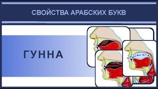 Айман Сувейд  19  Гунна как свойство (буквы  ن م ) (русские субтитры)